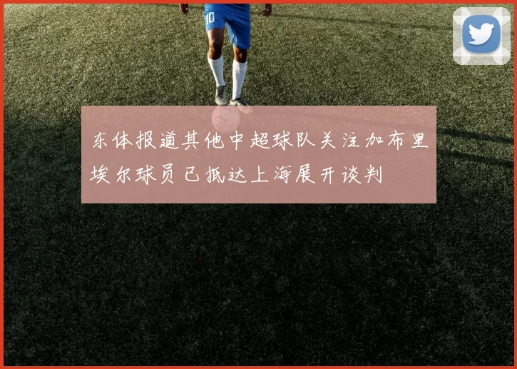 东体报道其他中超球队关注加布里埃尔球员已抵达上海展开谈判