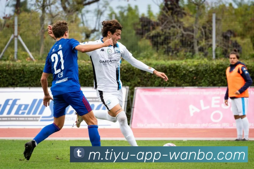 万博体育平台生态图