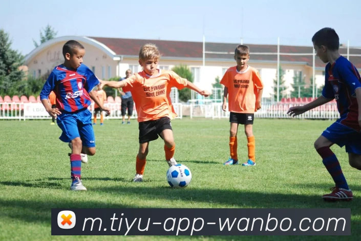 万博体育APP 封面图